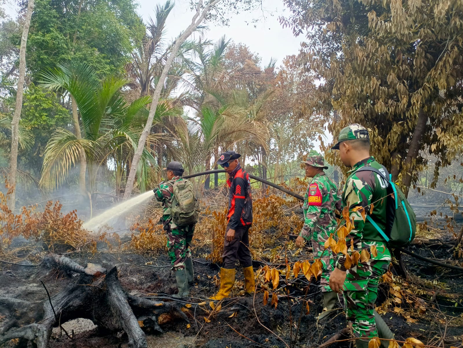 Gambut Kering dan Minim Air Jadi Tantangan, Kodam XIX/Tuanku Tambusai Terus Tangani Karhutla