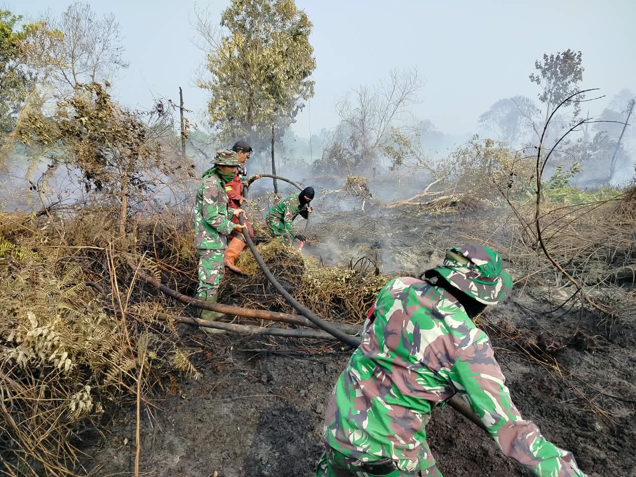 Kodam XIX Tuanku Tambusai Gerak Cepat Tangani Karhutla di Kampar, Api Berhasil Dipadamkan
